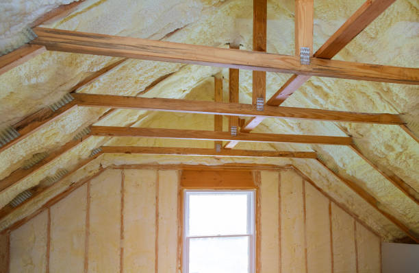 Best Residential Insulation Services  in Sans Souci, SC
