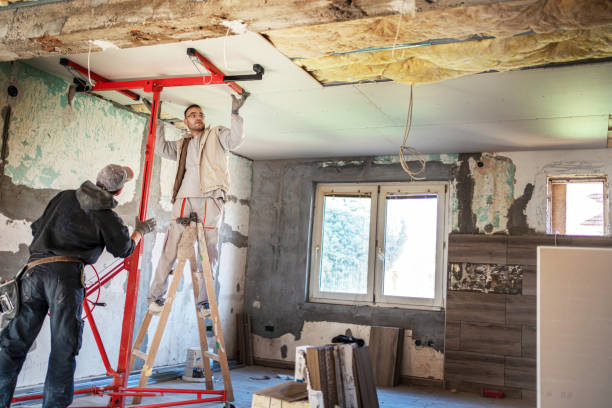 Best Best Insulation Companies  in Sans Souci, SC