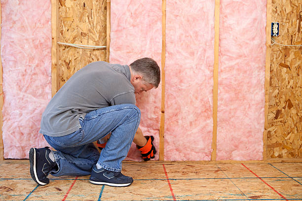 Best Professional Insulation Contractor  in Sans Souci, SC